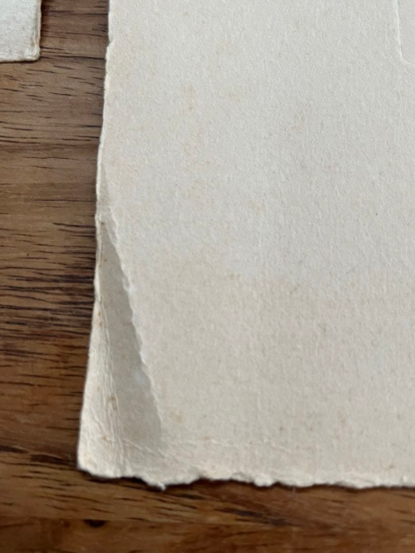 版画　ウィーン サンシュテファン寺院