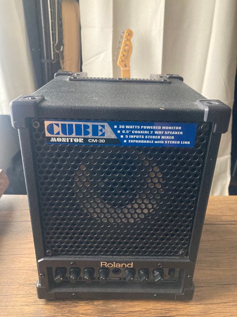 アンプ Roland cm-30