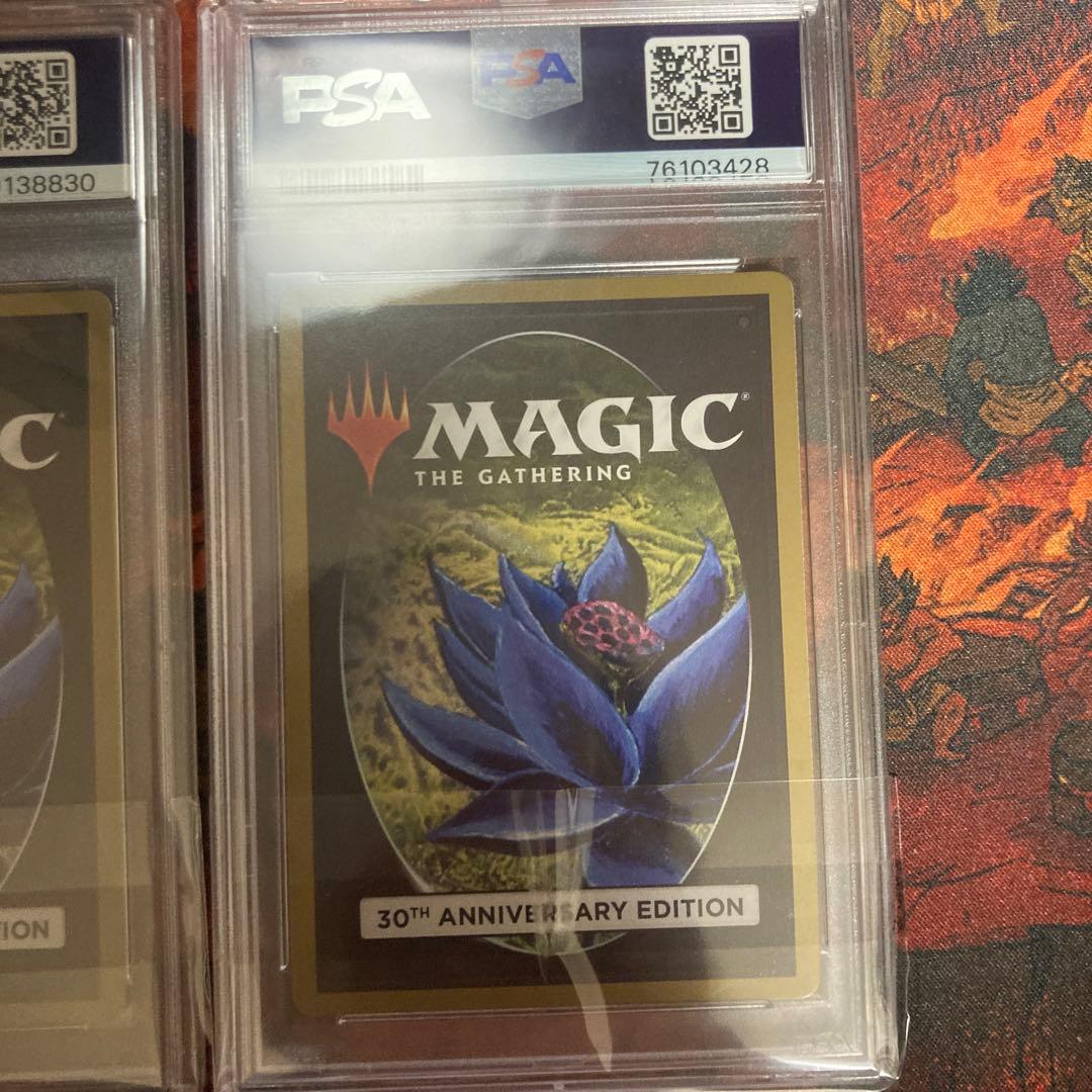 PSA10 新枠 旧枠 2枚セット Lord of the Pit 30th