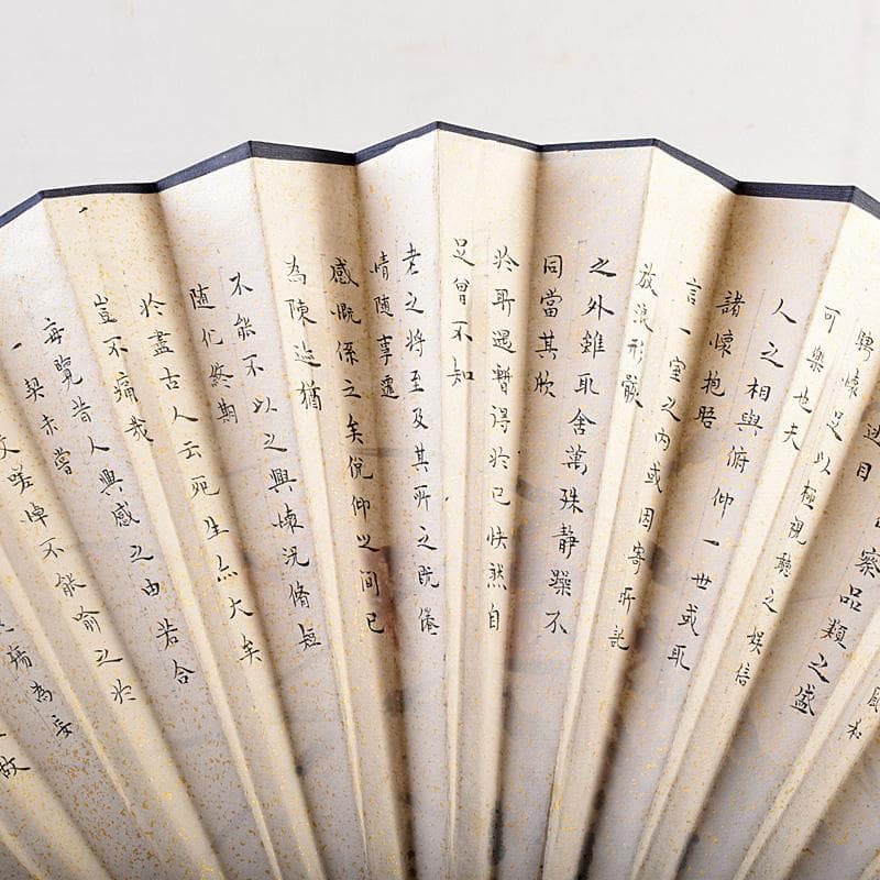 中国　雲溪竹人刻親骨　水墨画　漢詩花図　扇子　M　R8802