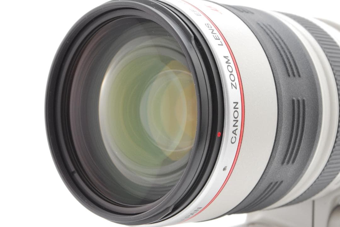 キャノン ZOOM EF 35-350mm F3.5-5.6 L USM