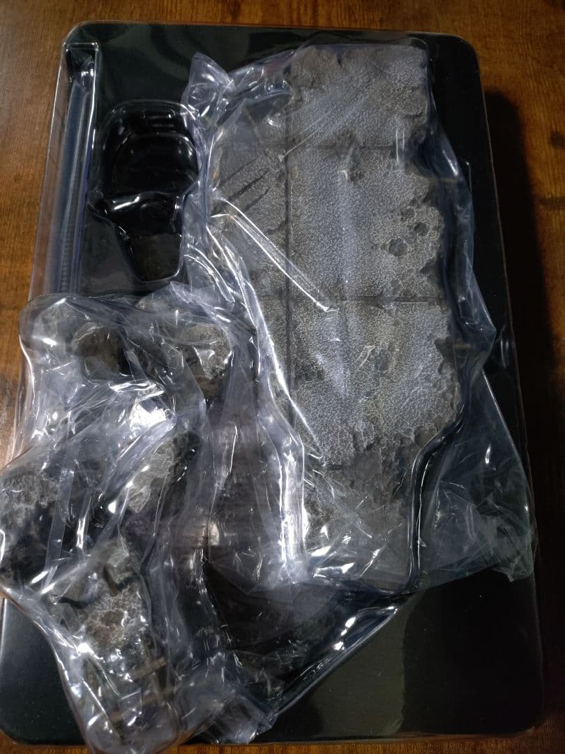 ホットトイズ 仮面ライダー ブラックサン バトルダメージ ver