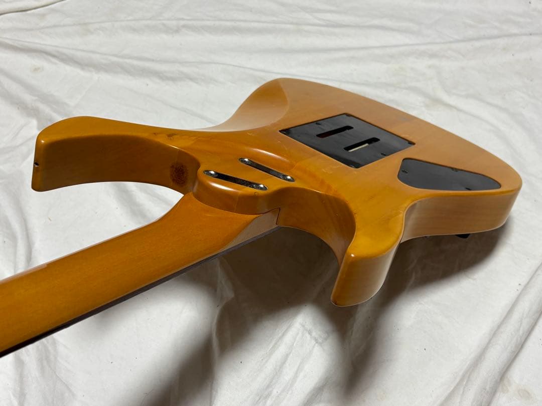 ESP エレキギター　スナッパーモデルロック式トレモロユニット1910-01-2