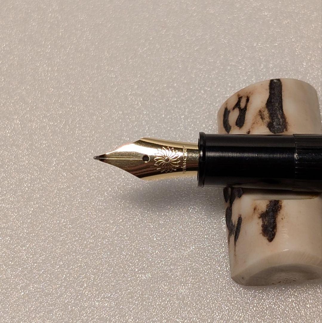 WANCHER ワンチャー 呉竹 近代蒔絵 万年筆 SHARA-Qニブ