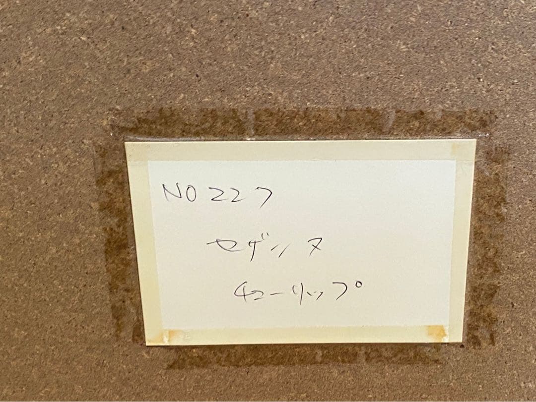 ポール・セザンヌ チューリップの花瓶 額縁 インテリア