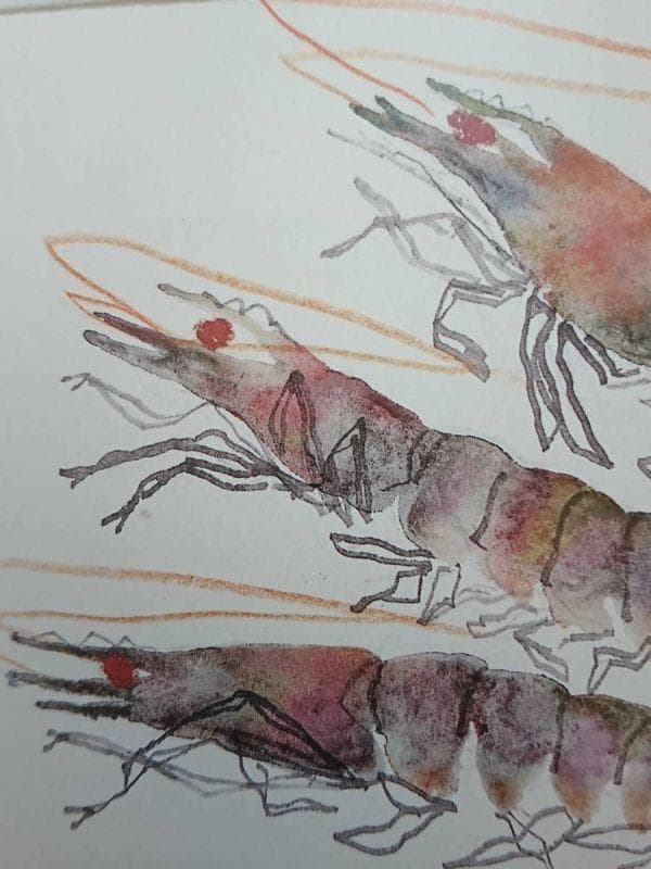 片岡 鶴太郎、【海老】、希少画集画、状態良好、四季、自然、新品額 額装付