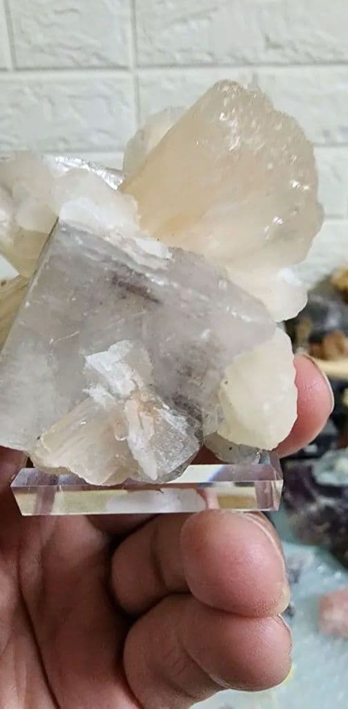 蛍石上のゼオライト