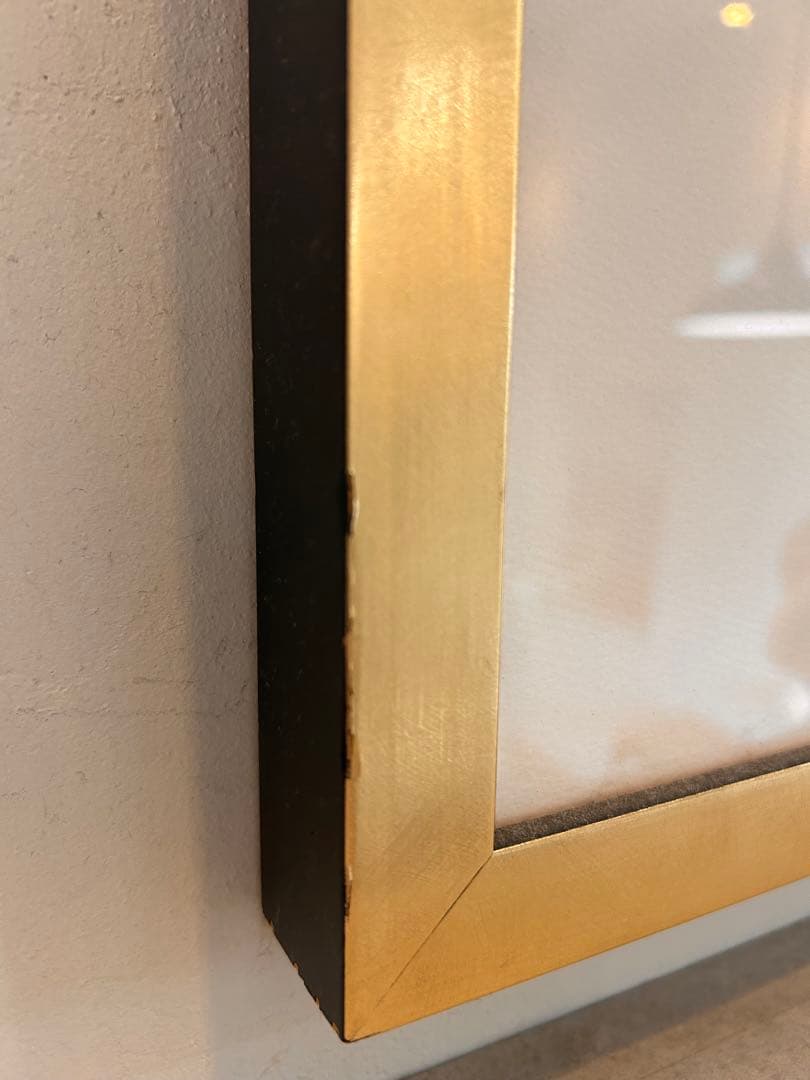 ゴールド系額装付きシルクスクリーン#アート作品#こうもり#カメラ