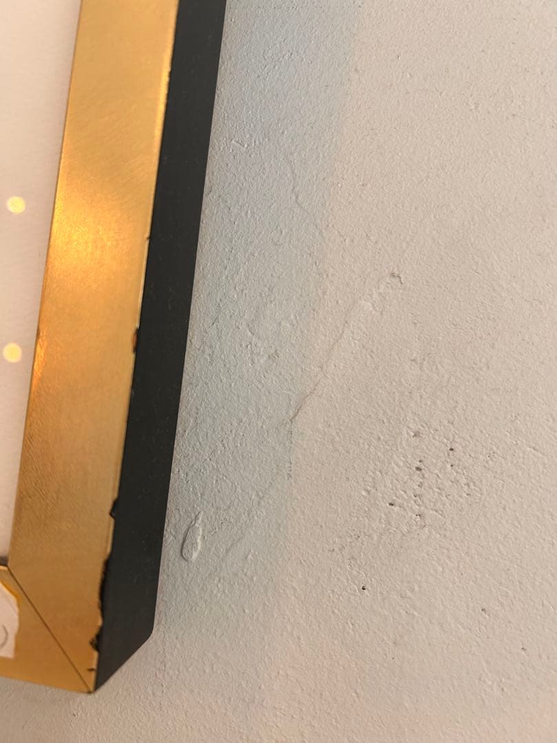 ゴールド系額装付きシルクスクリーン#アート作品#こうもり#カメラ