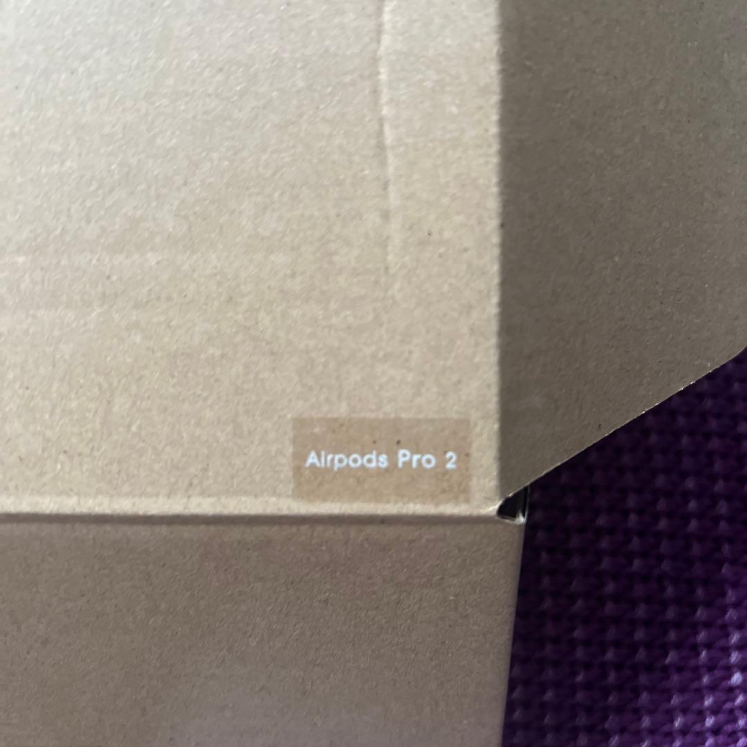 ハチワレ　ハチワレサニーズ AirPods Pro 2 ケース　CASETiFY