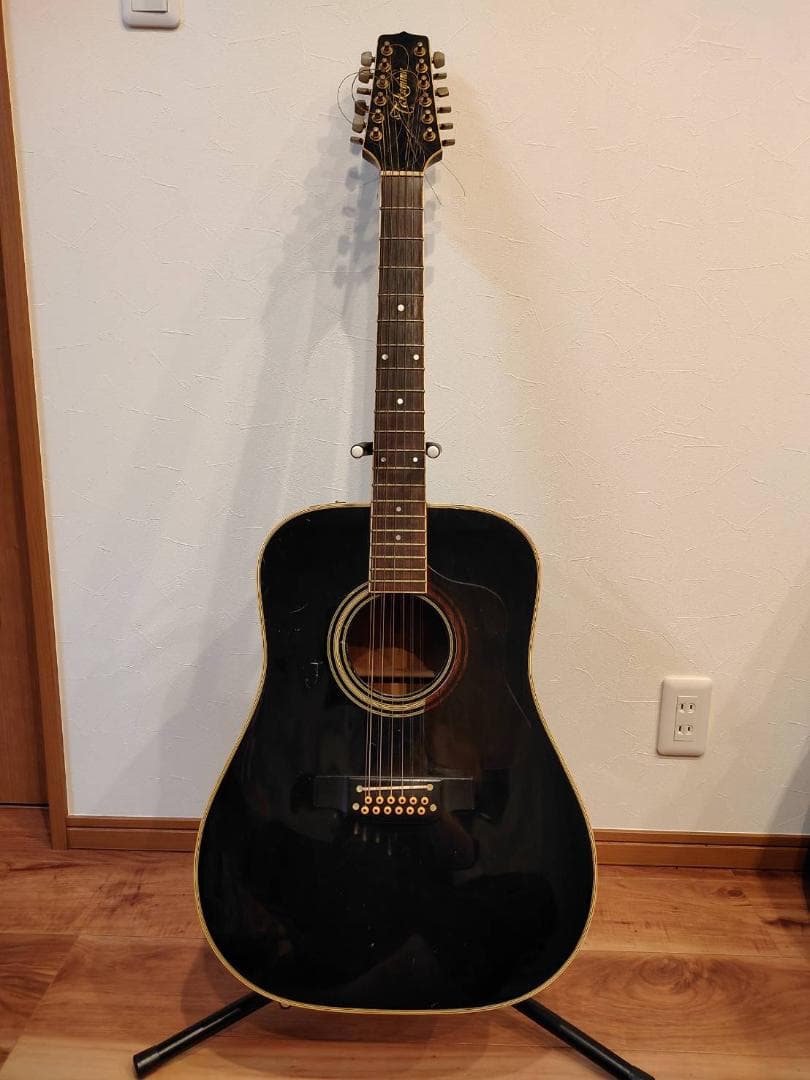 タカミネ 12弦ギター エレアコ アコースティック ギター