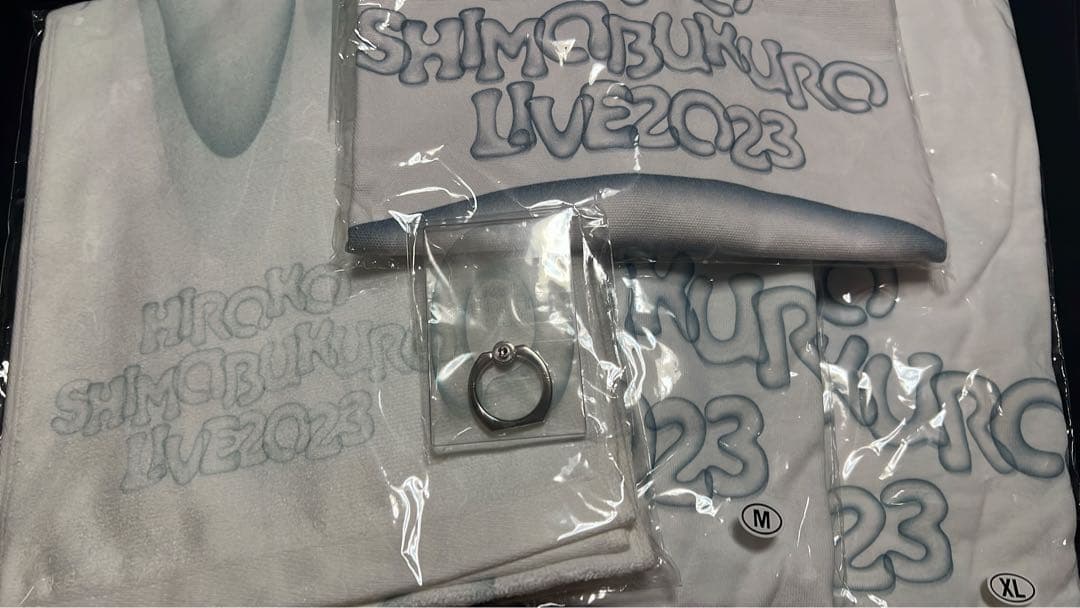 島袋寛子パンフサイン入り　おまけでグッズのトレカ３枚缶バッチ2個お付けします