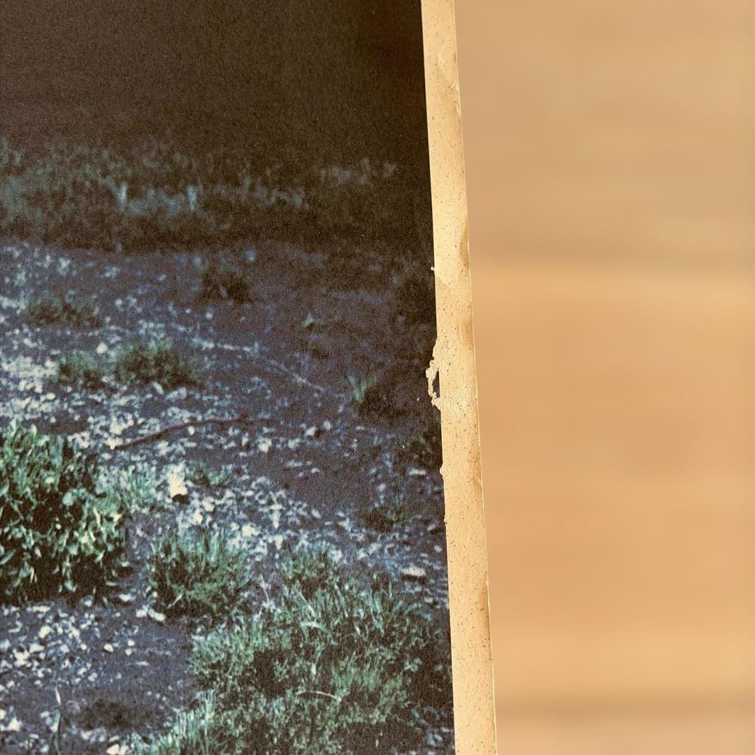 ミュージシャン Mr.Children