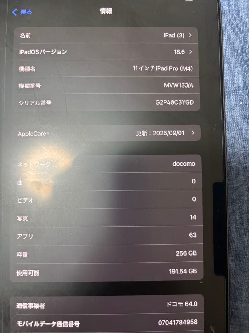 iPad Pro11 M4 256GB セルラー Pencil付