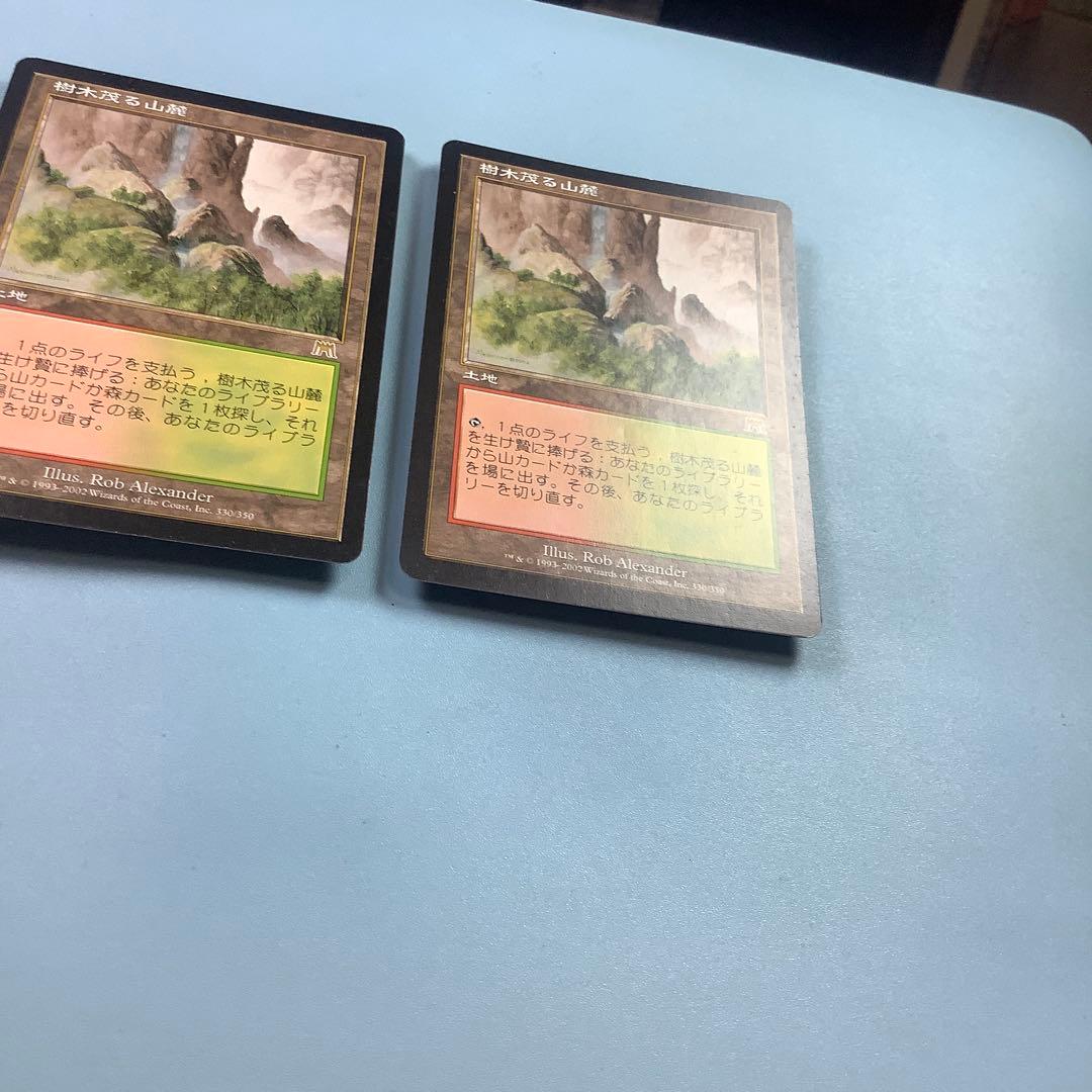 樹木茂る山麓/Wooded Foothills ONS日本語2枚セット