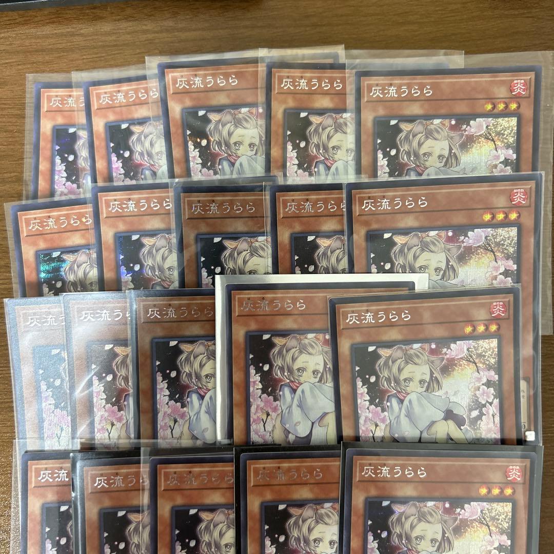 遊戯王 灰流うらら シークレット 絵違い　20枚