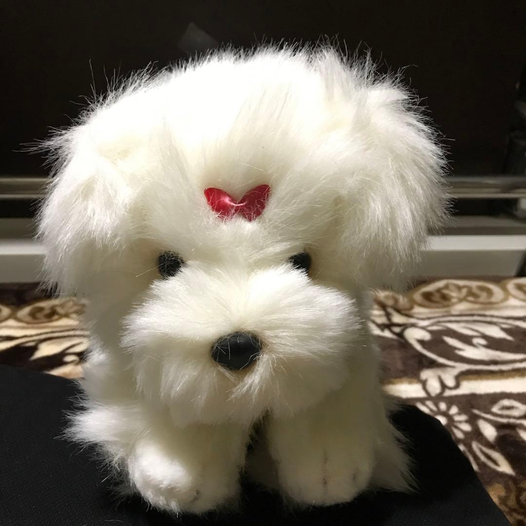 ぬいぐるみ　犬　マルチーズ　ファースト社　タグ付き　美品❣️