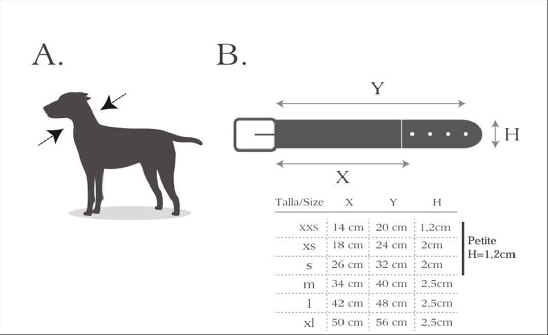 Etna Azul スペイン製 高級犬用リード（小型犬　中型犬）
