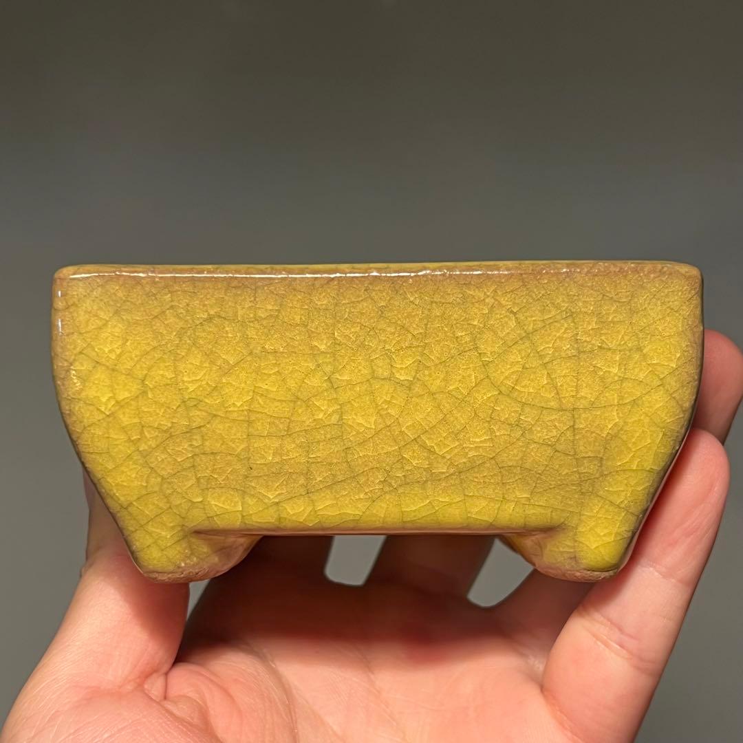 814.暁雲 黄貫入釉長方 盆栽鉢 植木鉢 10.1*7.9*5cm