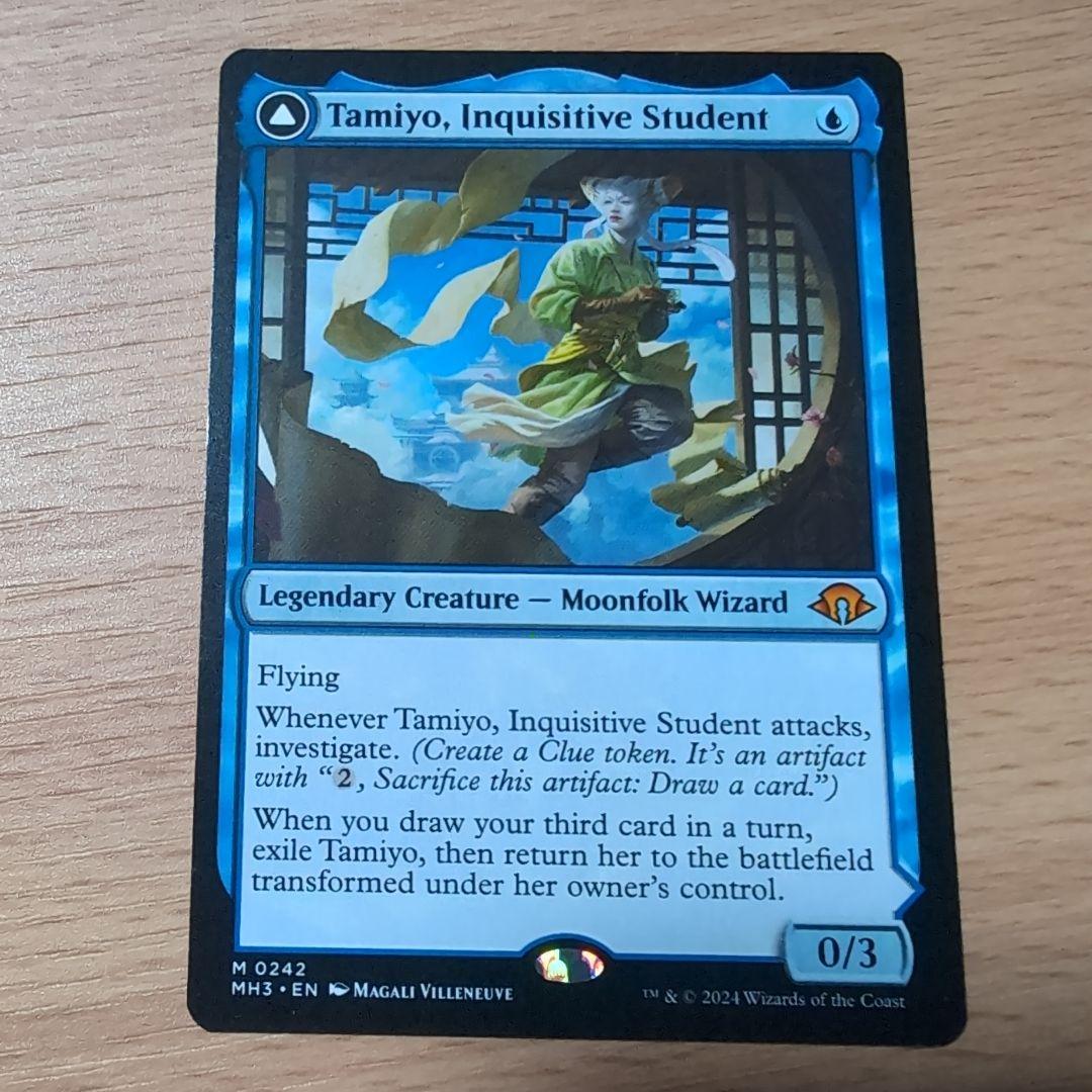 知りたがりの学徒、タミヨウ　英語版　4枚セット