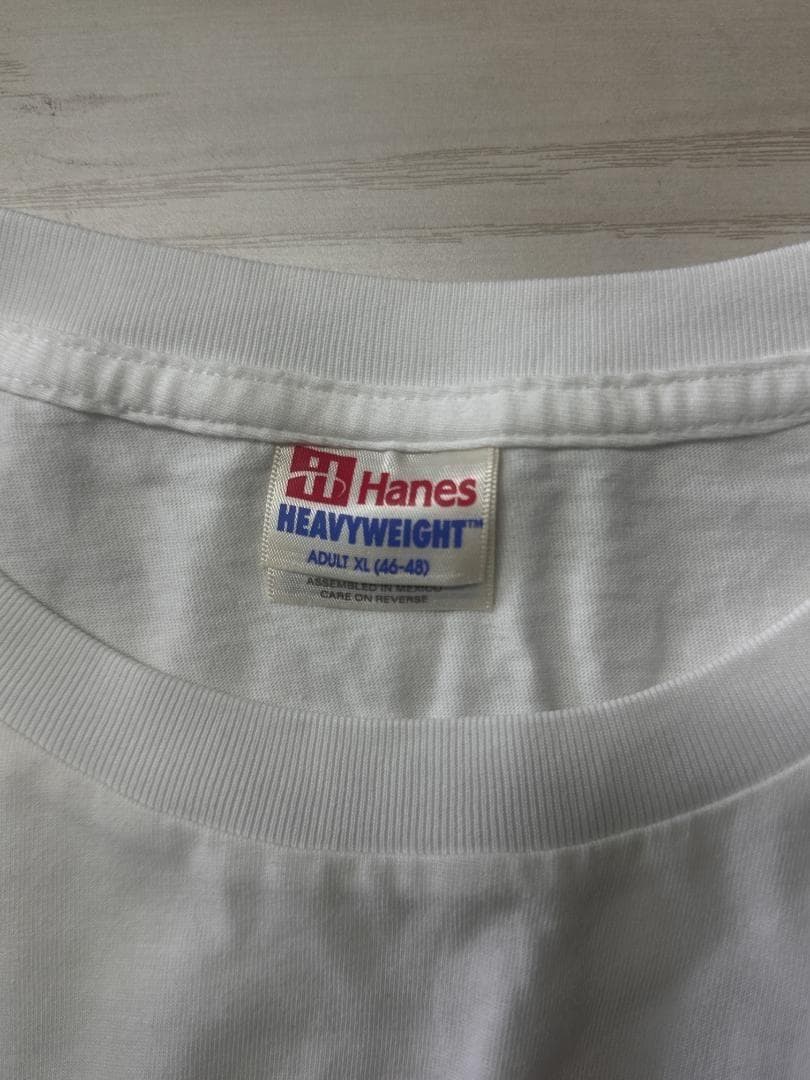 Guns N' Roses ガンズ GN'R LIES 野村訓市 着用 2824