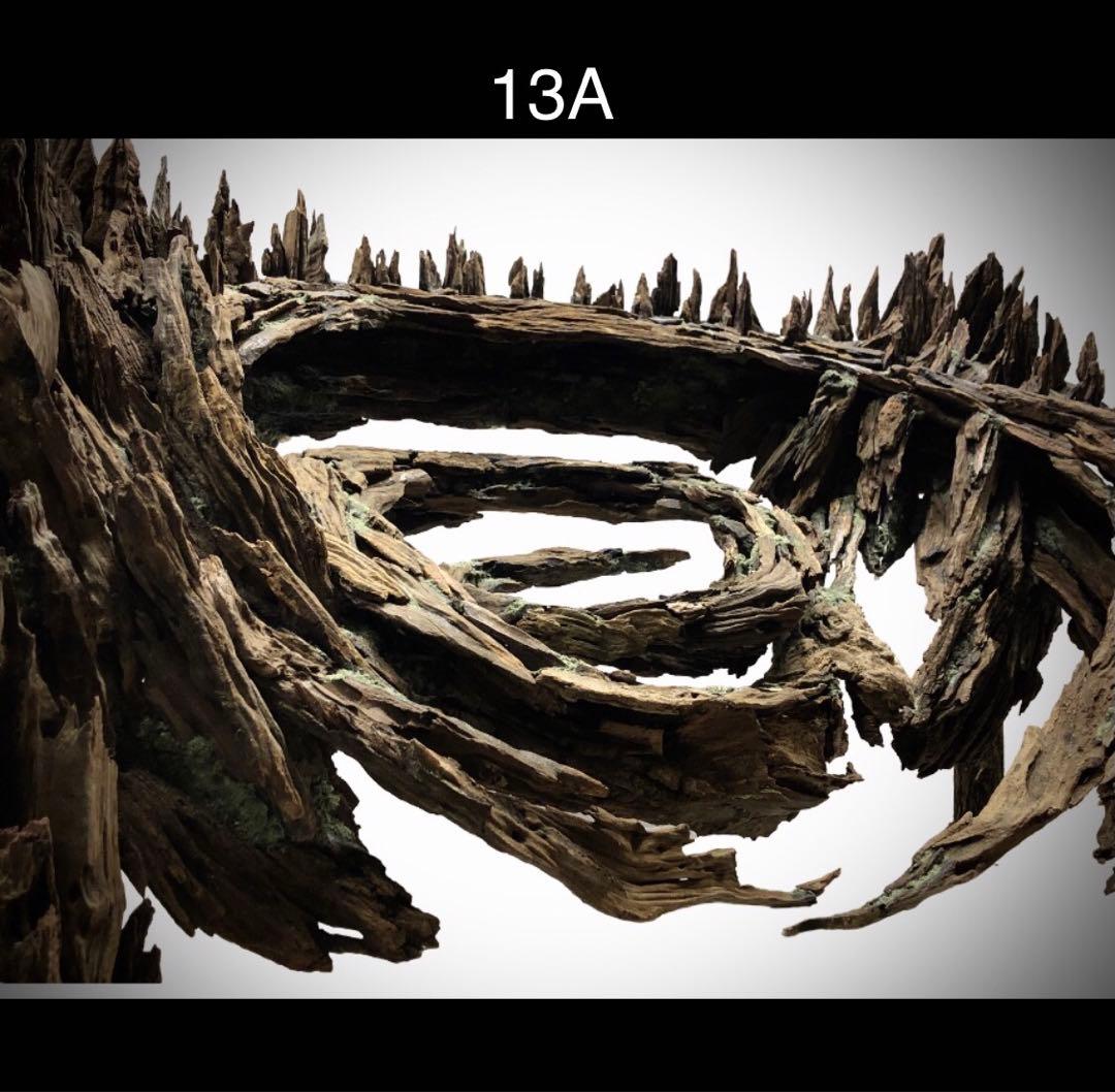 【オンリーワン品】森の螺旋幻想: 90センチ水槽の魔法的アクアレイアウト