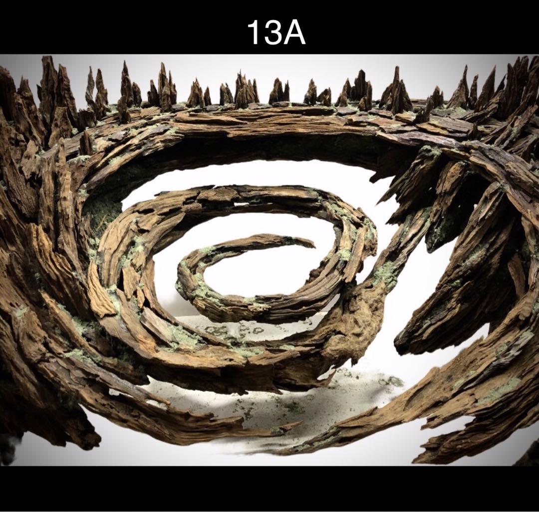 【オンリーワン品】森の螺旋幻想: 90センチ水槽の魔法的アクアレイアウト