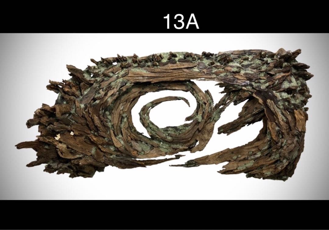 【オンリーワン品】森の螺旋幻想: 90センチ水槽の魔法的アクアレイアウト