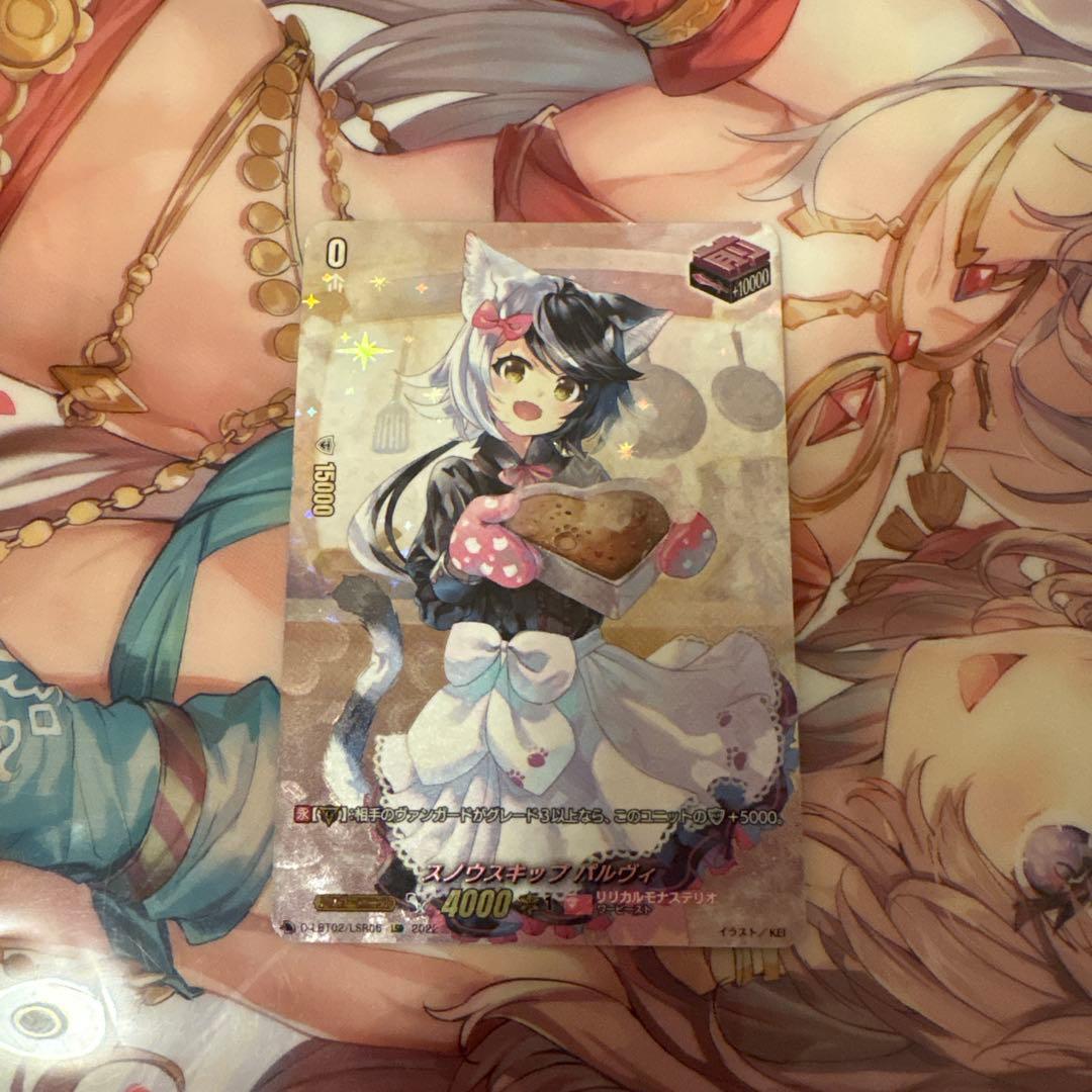 スノウスキップパルヴィ LSR ①