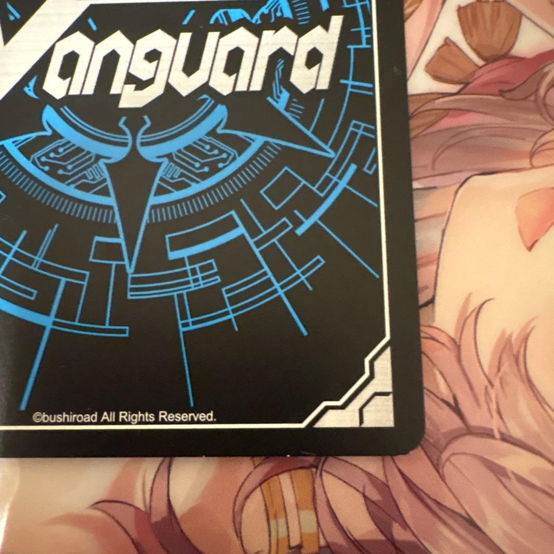 スノウスキップパルヴィ LSR ①