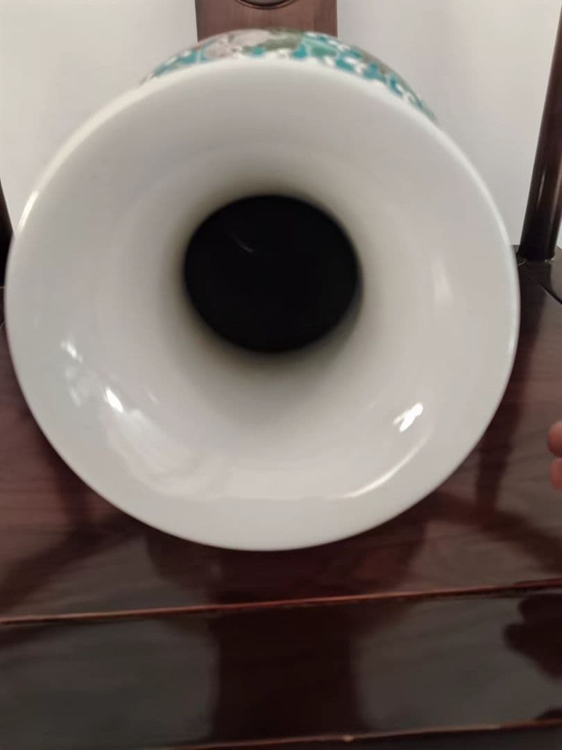 中国古美術品 清康熙緑地着花獅子紋魚尾瓶 工芸品 置物