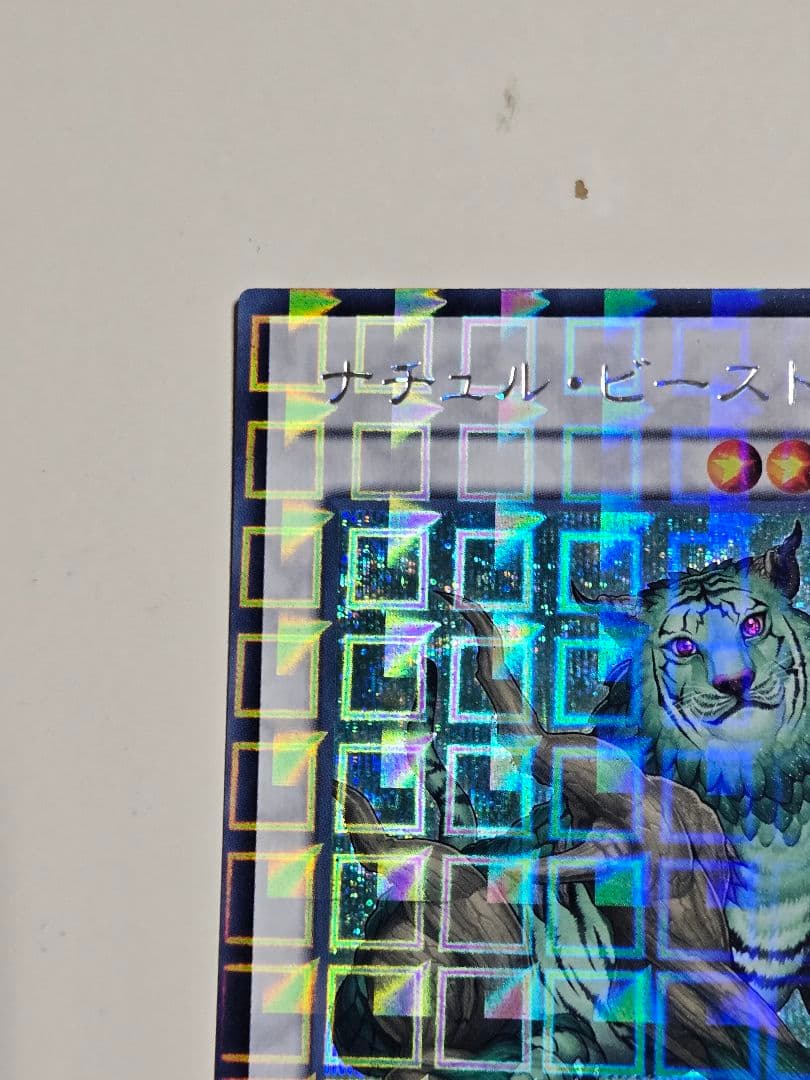 ナチュルビースト　DTC シークレット