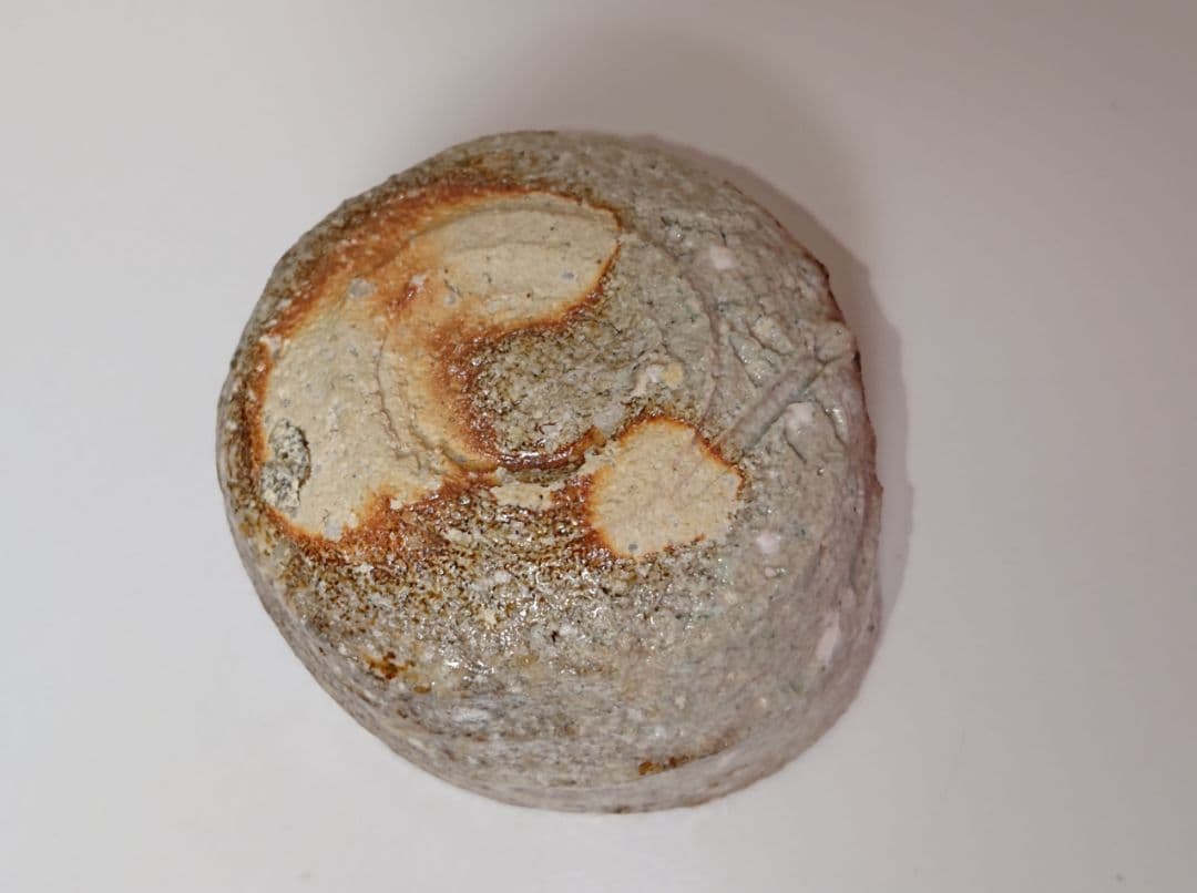 澤清嗣 信楽 ぐい呑