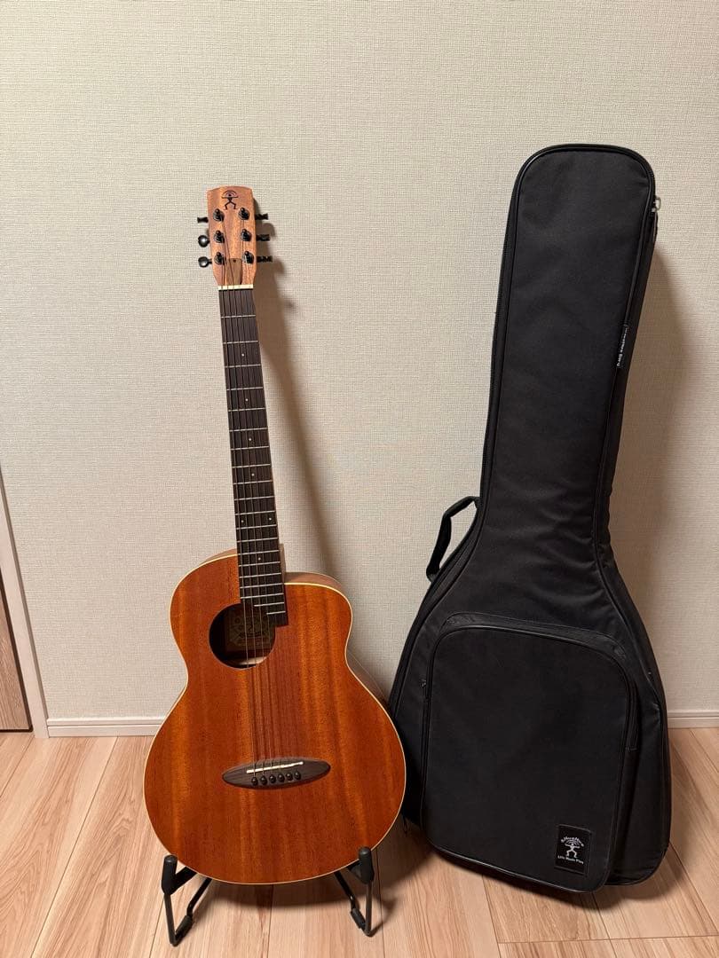 【美品/直接お渡し可】aNueNue　アコギセット