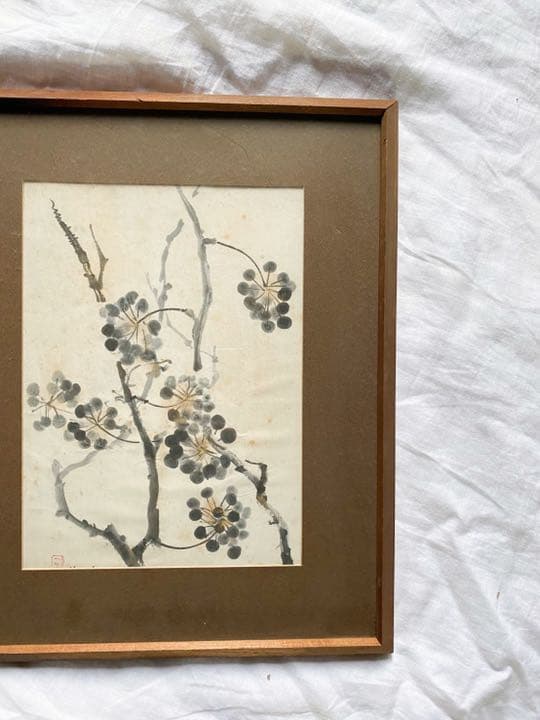 つる草の絵　吉田武聖