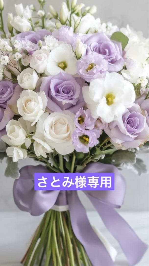 2025年購入セモアブライダルインナーラビーナビスチェ D70LaVénus