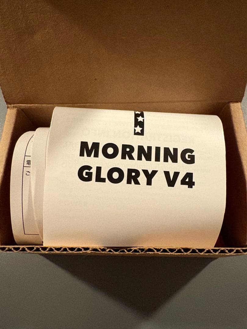 ギター JHS Morning Glory V4