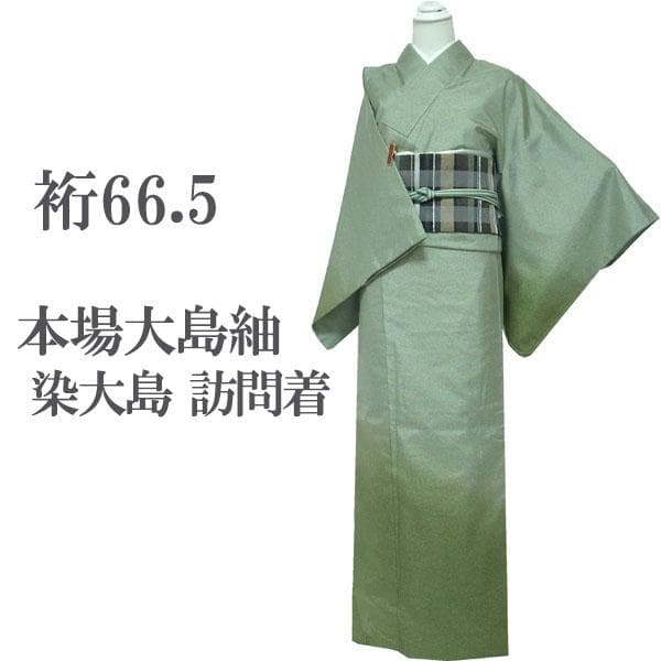 本場大島紬 染大島 訪問着 着物 袷 薄緑 裄66.5 Ｍ 新古品 sn1773