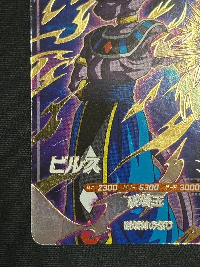 SDV2-056 GDR ビルス