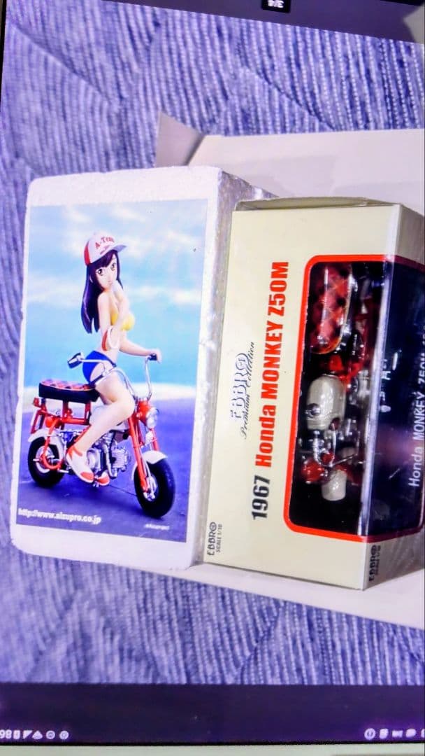 200個限定 エブロ 1/10 MONKEY Z50M モンキー ガール