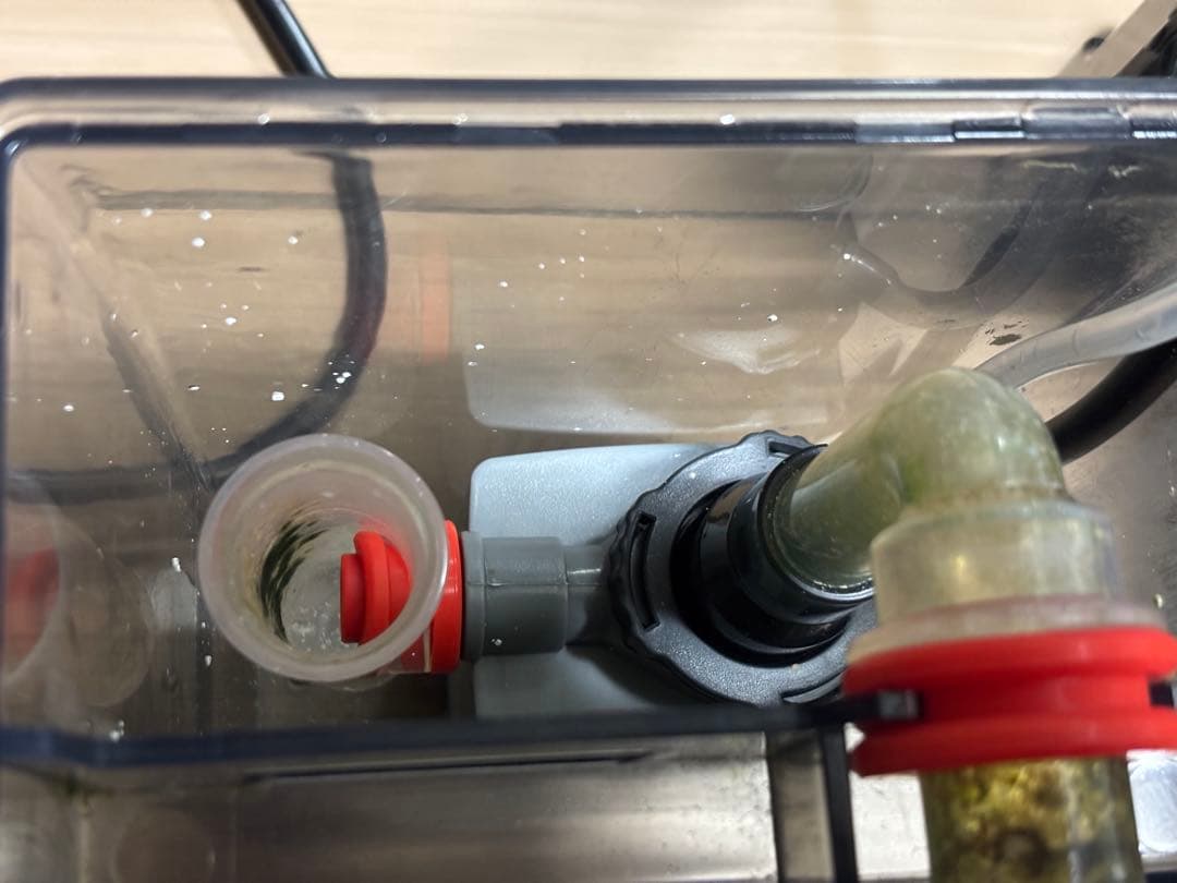 お買い得　ゼンスイ　QQ1 プロテインスキマー　海水魚　サンゴ