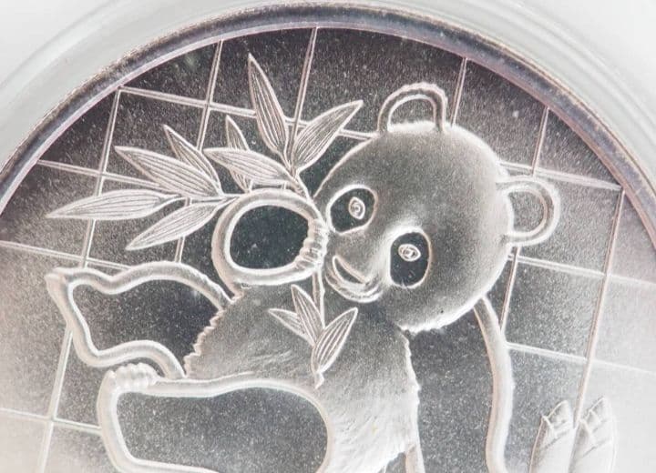 1989年 パンダ銀貨　カプセル付き