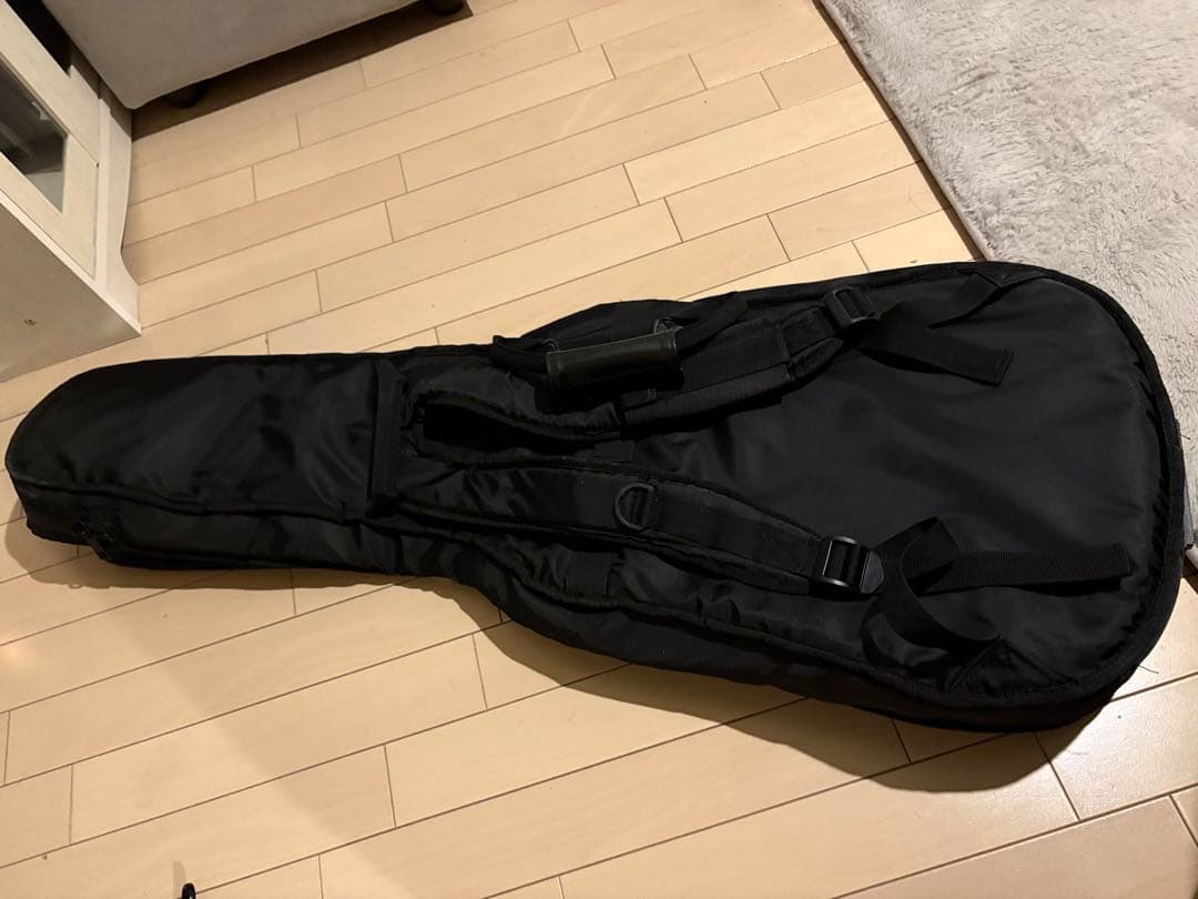 イ*ヌ様 ● Custom Hard Relic P-90×2 Stratoca