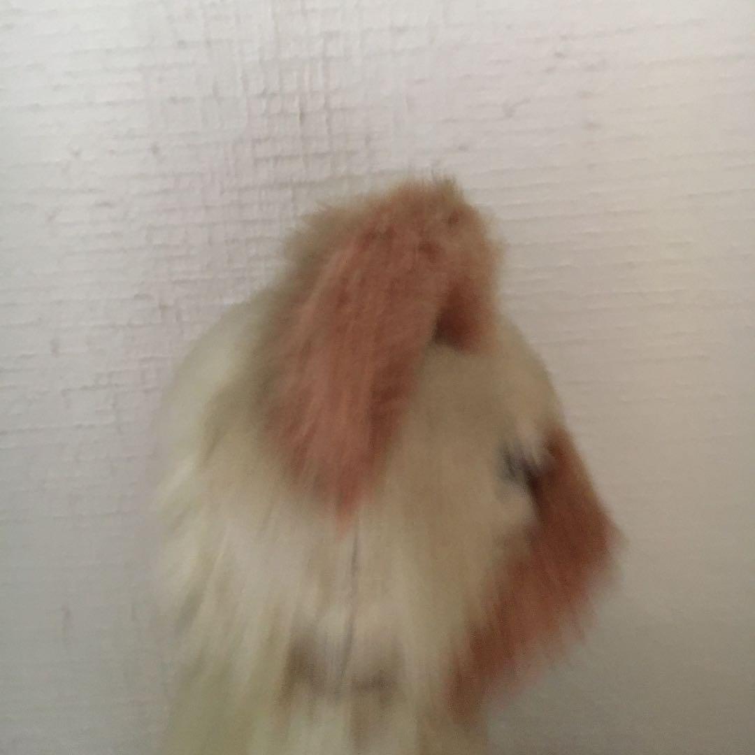 アンティークテディベア