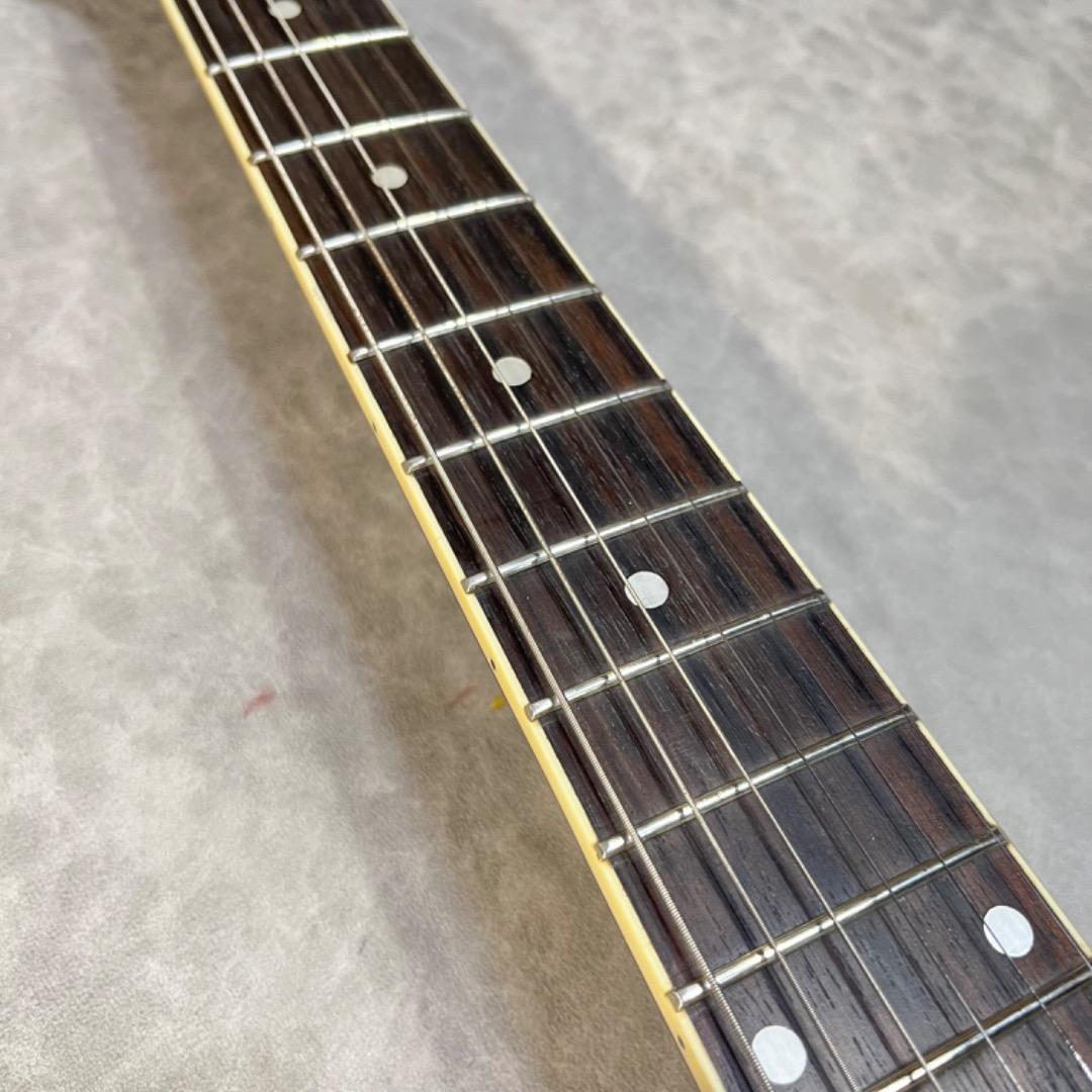 Maestro by Gibson Gold top マエストロ バイ ギブソン