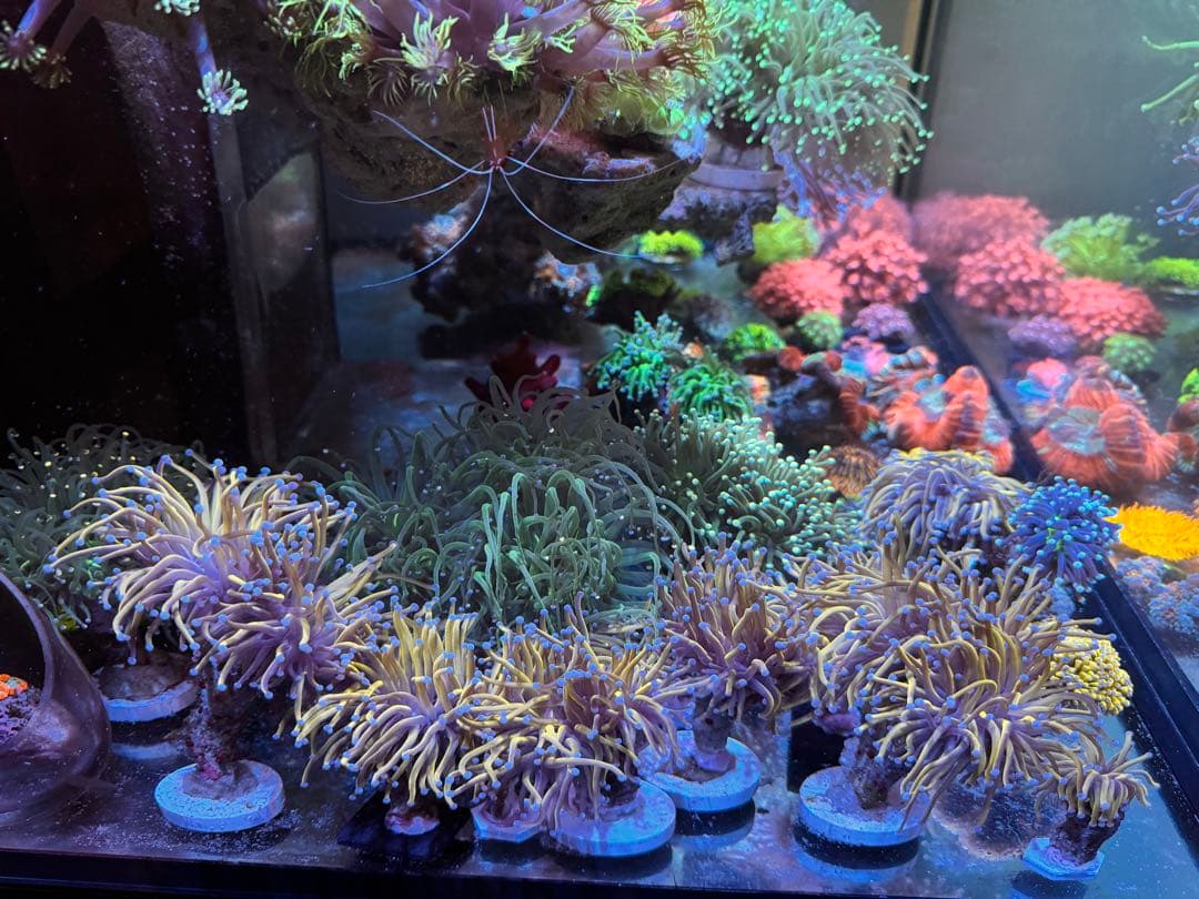 user_25eb376eページ