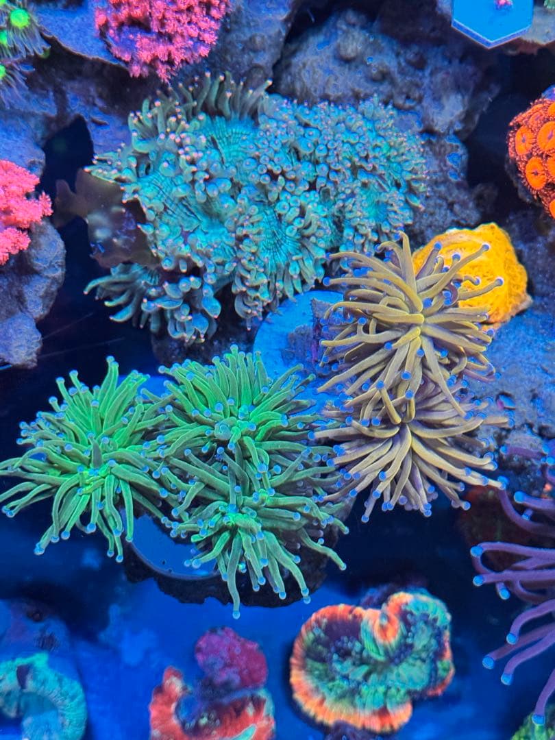 user_25eb376eページ