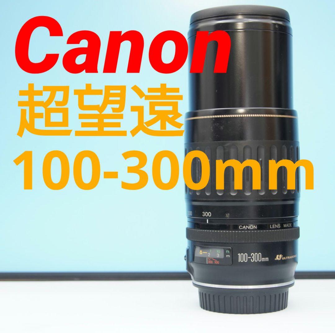 スポーツ/イベント/望遠レンズ/キヤノンCanon EF 100-300mm