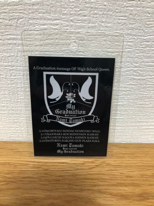 玉置成実　ライブツアースタッフ用　アクセスオールエリアパス