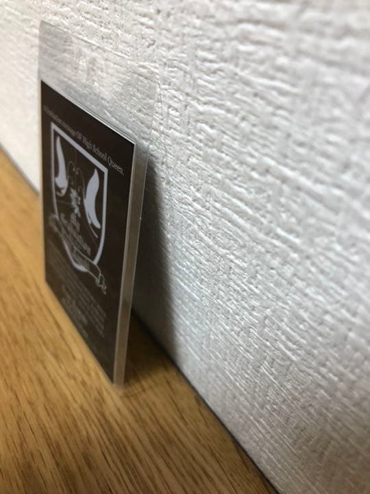 玉置成実　ライブツアースタッフ用　アクセスオールエリアパス